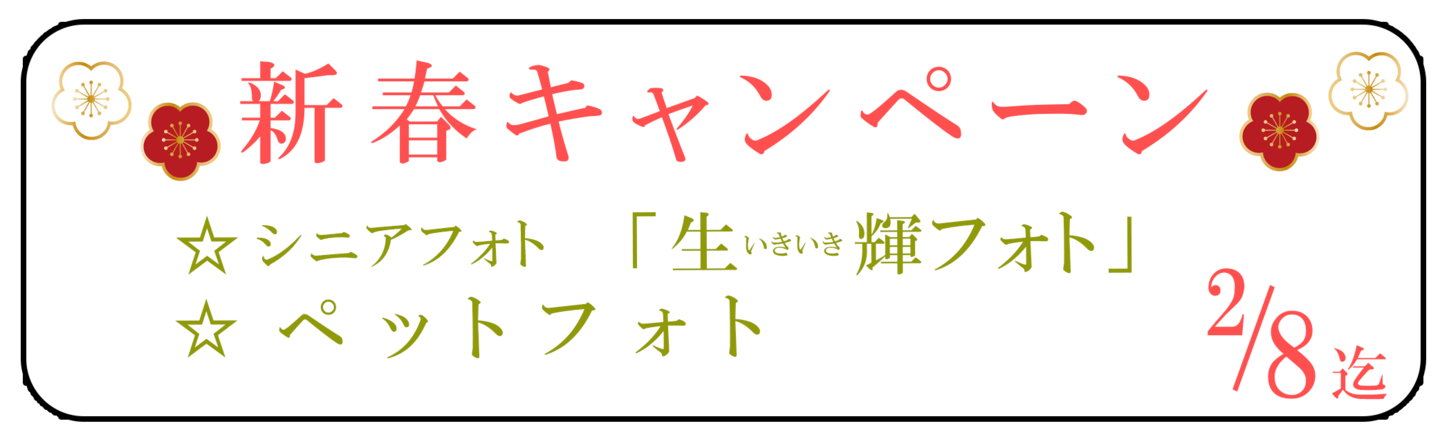 七五三資料請求